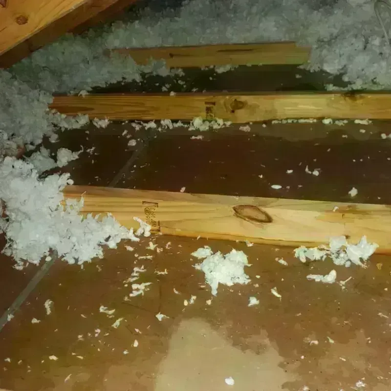 Attic Water Damage in Saratoga, CA